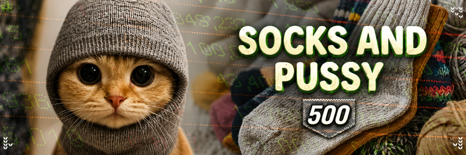 Sock & Pussy 500 banner: ginger cat in a knit hood beside the S&P500 mark